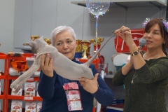 DSC04221