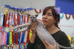 DSC04226