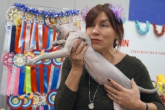 DSC04236