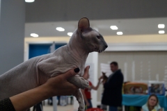 DSC04256