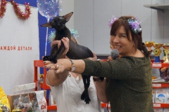 DSC04303