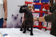 DSC04317