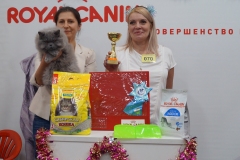 DSC04539