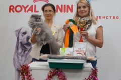 DSC04598