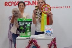 DSC04647