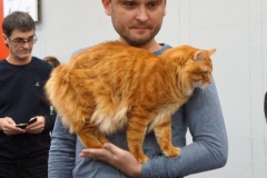 DSC04650