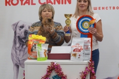 DSC04658