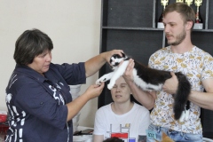 IMG_9186