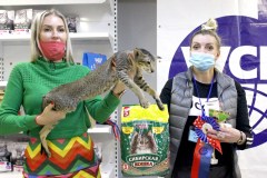 IMG_2525