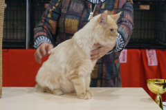 DSC06716