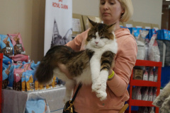 DSC06801