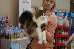 DSC06802