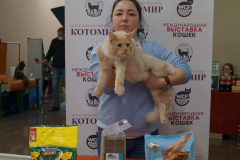 DSC06852