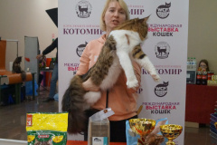 DSC06857