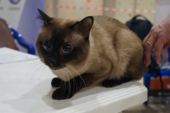 DSC06895