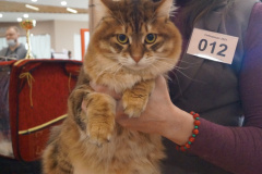 DSC06905