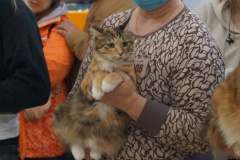 DSC06966