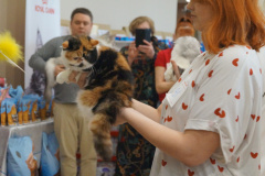 DSC07003