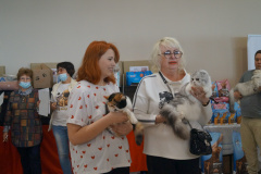 DSC07006