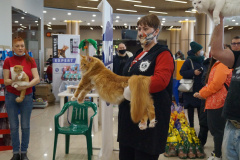 DSC07015