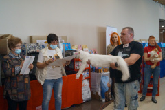 DSC07018