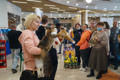 DSC07021