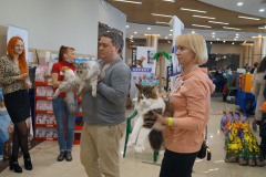 DSC07022