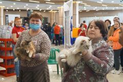 DSC07036