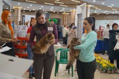 DSC07039