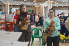 DSC07041