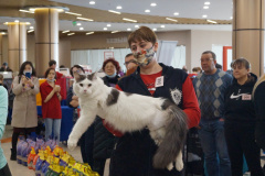 DSC07042