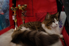 DSC07069