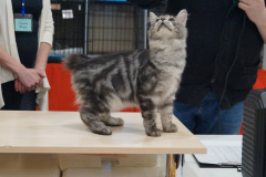 DSC07088