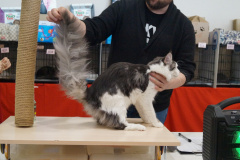 DSC07095