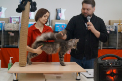 DSC07143