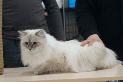 DSC07168