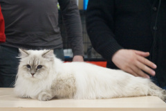 DSC07170