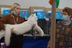 DSC07175