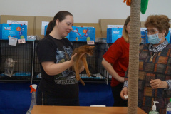 DSC07181