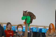 DSC07200