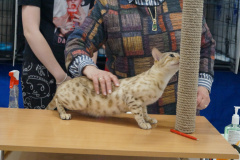 DSC07204