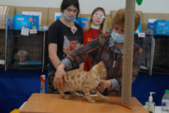 DSC07207