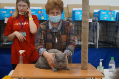 DSC07211