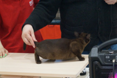 DSC07254