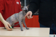 DSC07376