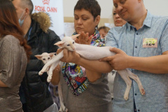 DSC07441