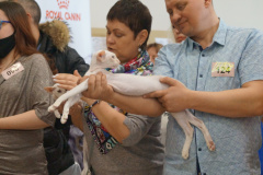 DSC07442
