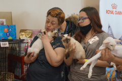 DSC07444