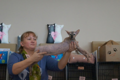 DSC07555