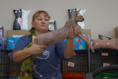 DSC07571